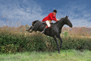 Foxhunting Art -Jumping the Hedge